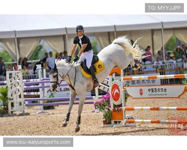西班牙青少年骑手在美洲青少年马术锦标赛中表现出色,获得多项奖项。 西班牙青少年骑手在美洲青少年马术锦标赛中表现出色,获得多项奖项。
